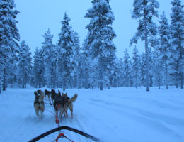 High School in Finland