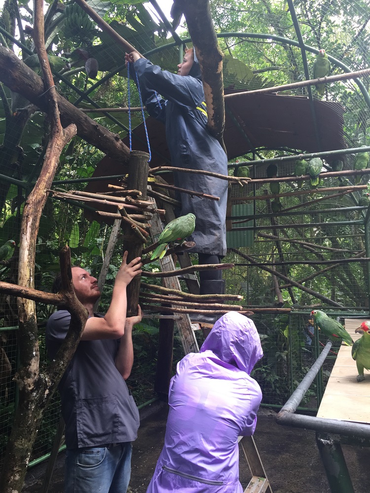 staff-helping-costa-rica-volunteers
