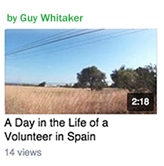 guy whitaker