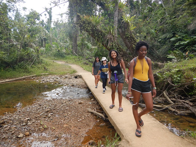 Ready to Learn a Language This Summer? What You Need to Know About COVID-19 and Our Teen Language Camps