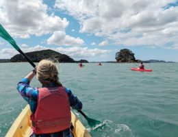 Travel Programs Vs. Planning Yourself