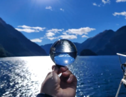 The 2019 Video Contest Finalists