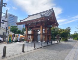 A First Time Traveler’s Impression of Japan and Greenheart’s Teen Language Camp